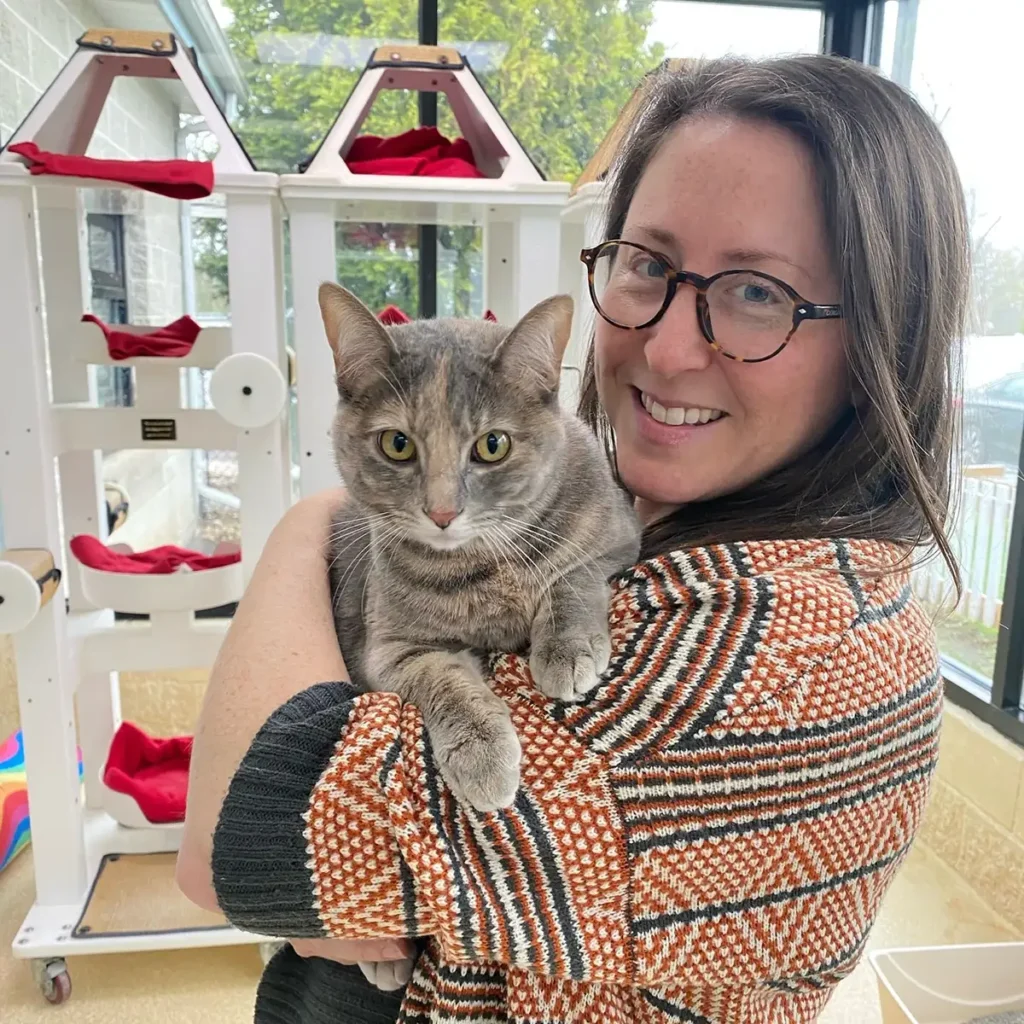 Cat adoption day
