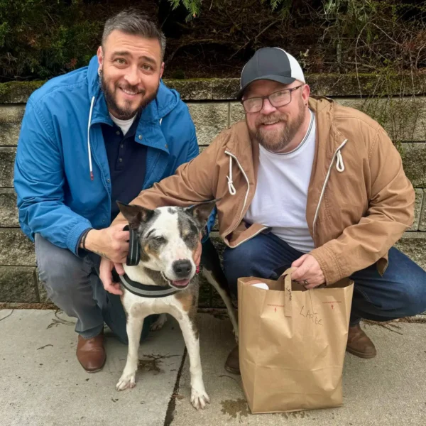 Dog adoption day