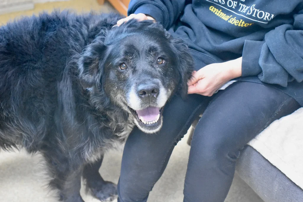 Cayah, one of Orphans' Treasures