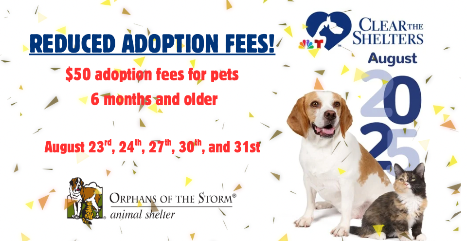Picture of dog and cat celebrating $50 adoption promotion for Clear the Shelters